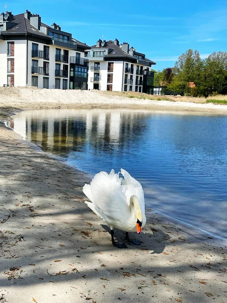 Dziennik z budowy – Półwysep Dziwnów maj 2022 r.